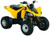 2010 Can-Am DS 250 photo